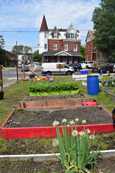 Community Garden